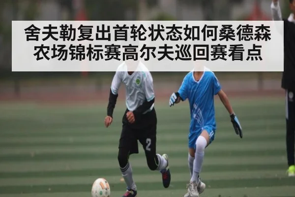 舍夫勒复出首轮状态如何桑德森农场锦标赛高尔夫巡回赛看点