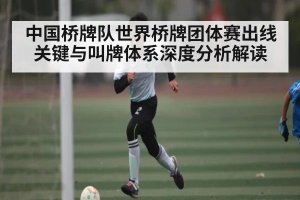 中国桥牌队世界桥牌团体赛出线关键与叫牌体系深度分析解读